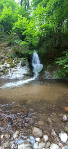 Cascada Valea Rea