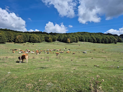 Area picnic Monte Livata