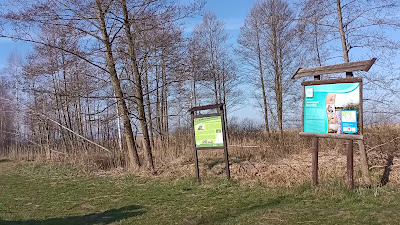 Miejsce na ognisko