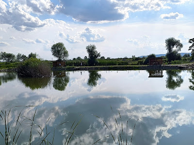 Damira Resort
