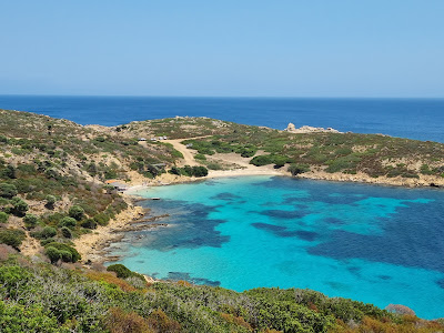 Asinara National Park