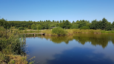 Łowisko ORLE STAWY