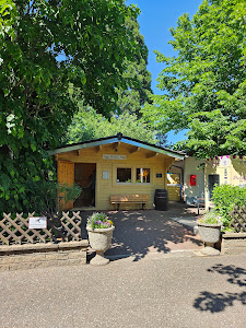 Campingplatz Freyersee
