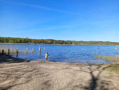 Dzika plaża, jezioro Binowo
