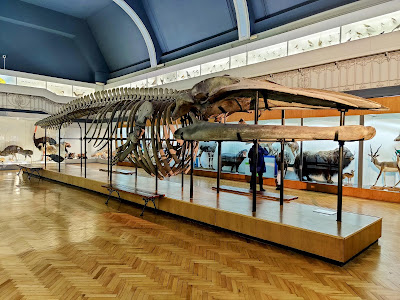 Museum of Natural History