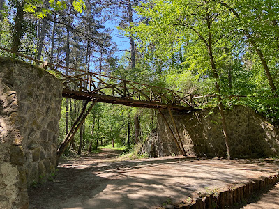 Arboretum of Gödöllő