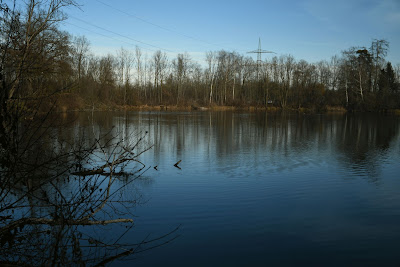 Südlicher Waldsee Senden