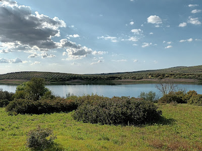 Laguna de Zonar