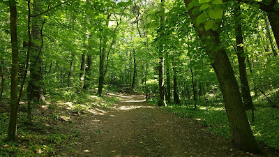 Mountain Park