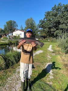 Fischgut Waldheim Angelweiher