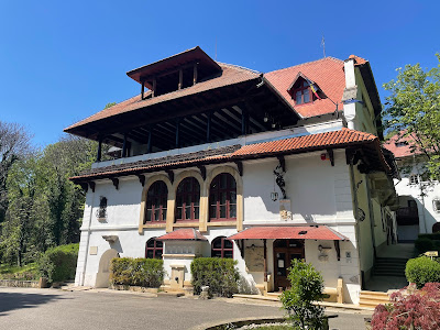 Muzeul Național Brătianu - Vila Florica