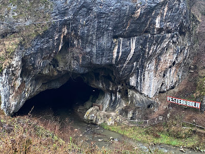 Peștera Bolii