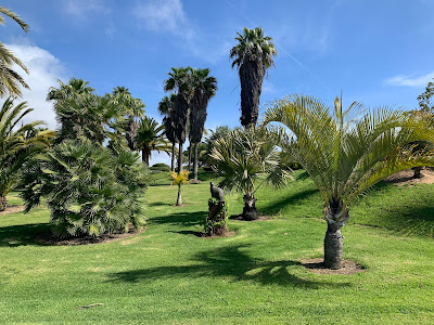 botánico José Celestino Mutis Park