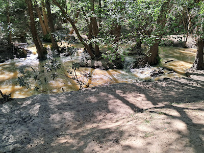 Sendero de la Mariposa Monarca
