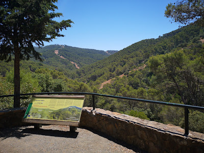 Mirador Martínez-Falero