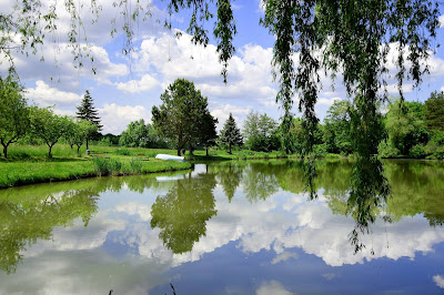 Fischteich Baumgarten