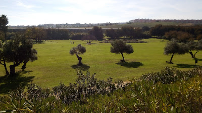 Green areas around Hacienda Torre de Doña Maria