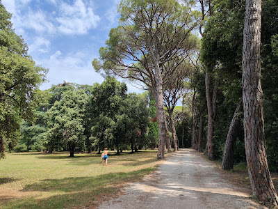 Park forest Zlatni Rt