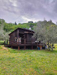 Agricamping L'Apicorno- Campeggio nel Chianti