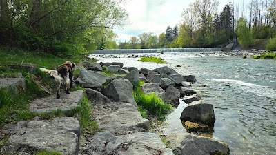Walder Wasserfall