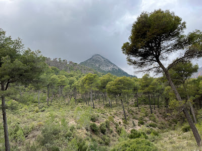 Área Recreativa Casa Leyva