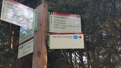Salt dels Capellans