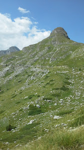 Stožina