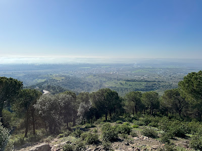 Mirador de Aves "Ornitólogo Antonio Leiva"