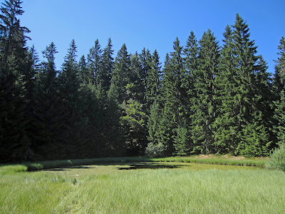 Dajićko Jezero