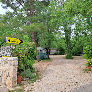 Camp AMAR