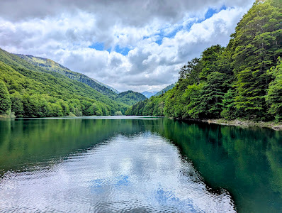Biogradska gora National Park