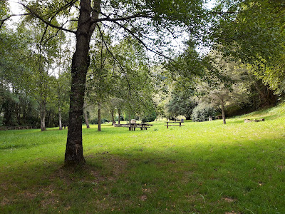 Area Recreativa de Pumares
