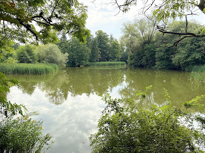 Duck Pond