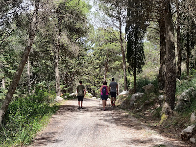 Area attrezzata