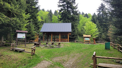 Wiata. Miejsce na ognisko.