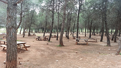 Área Recreativa Llanos de Matagallar (Fin sendero SL-A 60)