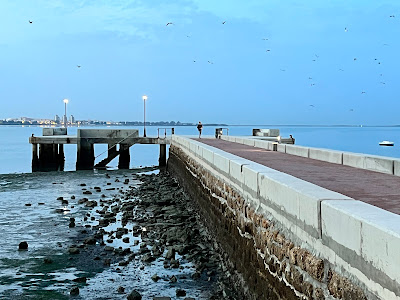 "La Puntilla" Mirador De Puerto Real