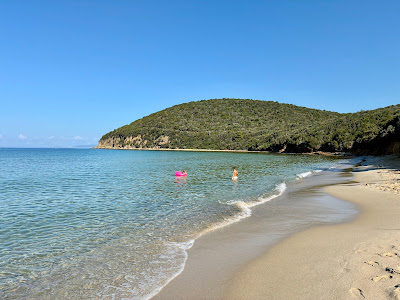 Cala Violina Scarlino