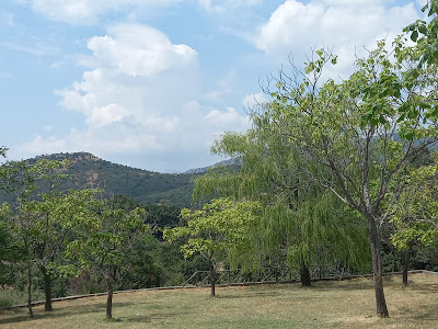 SCOSA Area PicNic