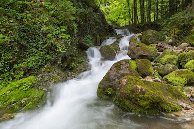Ausblick Kleiner Wasserfall