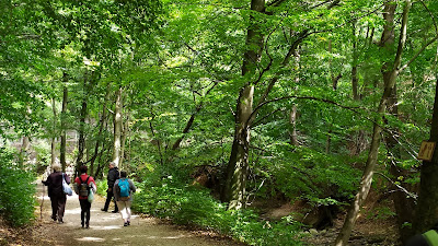 Cuha-völgyi pihenőpark és erdei tanösvény