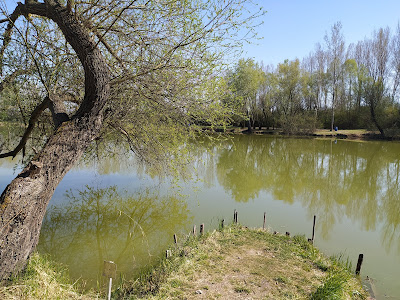 Hegykői Horgásztó