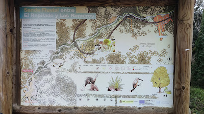 Sendero Fluvial Barranco de Los Romeros