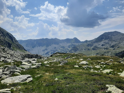 Poiana Pelegii
