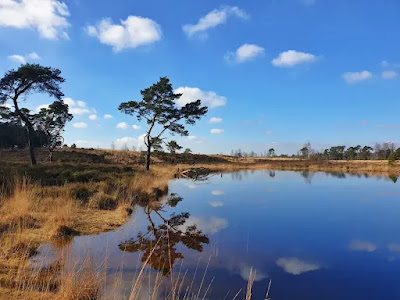 Grenspark Kalmthoutse Heide