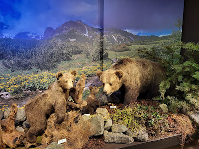 Museum of TANAP