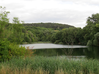 Tonkuhle See