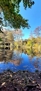 Kreuzbergl Lake 3