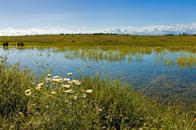 Castro Marim and Vila Real de Santo António Marsh Natural Reserve