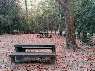 Zona de Picnic de la Riera de Sant Medir